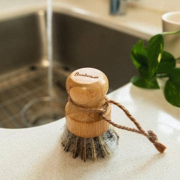 Nontoxic Cleaning