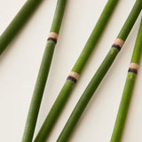 Revive Conditioner | Hair Mask