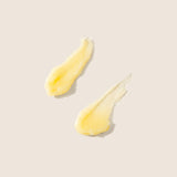 Honey Tallow Lip Balm